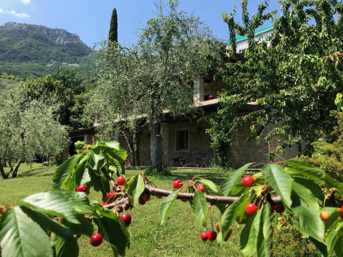 Bed and Breakfast La Cascata Negli Ulivi Toscolano Maderno Zewnętrze zdjęcie