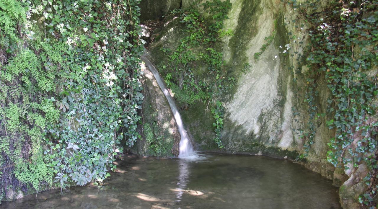 Bed and Breakfast La Cascata Negli Ulivi Toscolano Maderno Zewnętrze zdjęcie