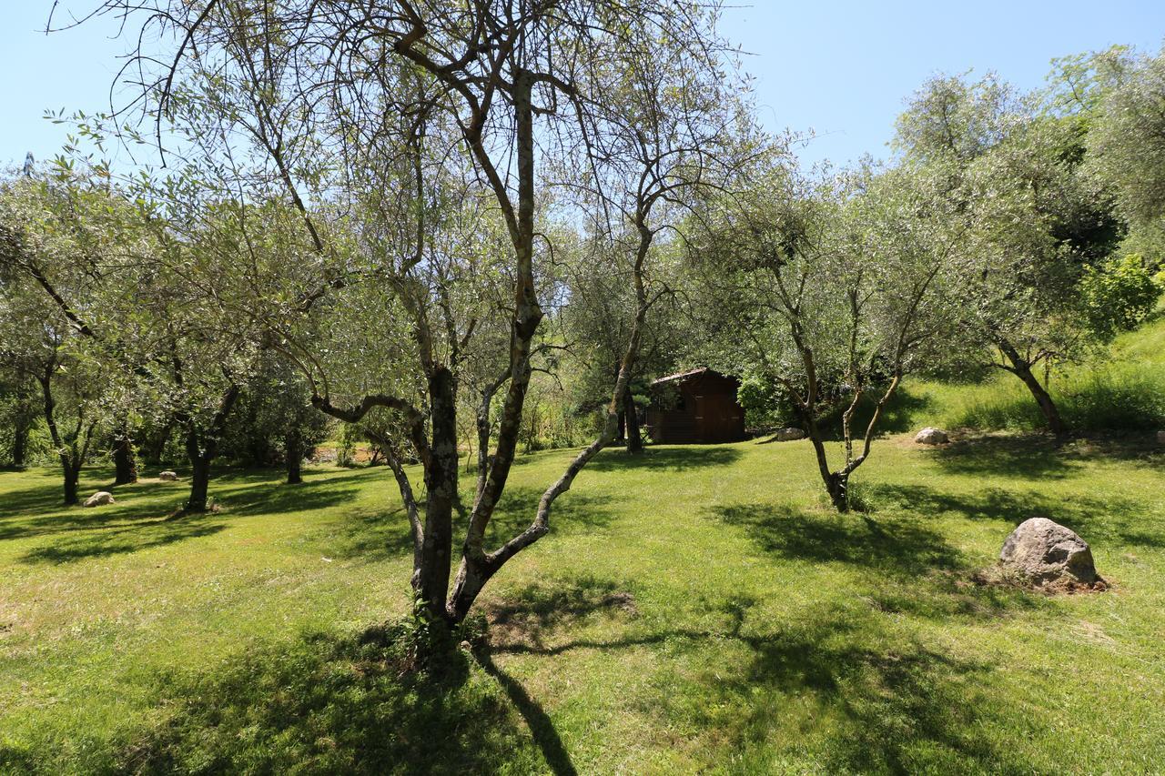 Bed and Breakfast La Cascata Negli Ulivi Toscolano Maderno Zewnętrze zdjęcie