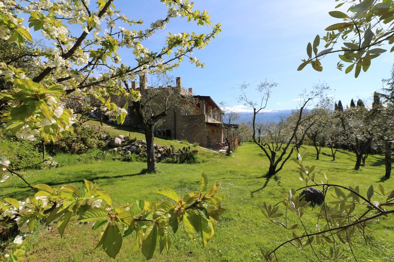 Bed and Breakfast La Cascata Negli Ulivi Toscolano Maderno Zewnętrze zdjęcie