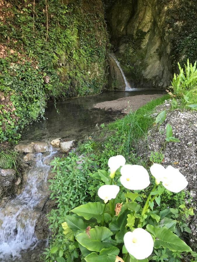 Bed and Breakfast La Cascata Negli Ulivi Toscolano Maderno Zewnętrze zdjęcie