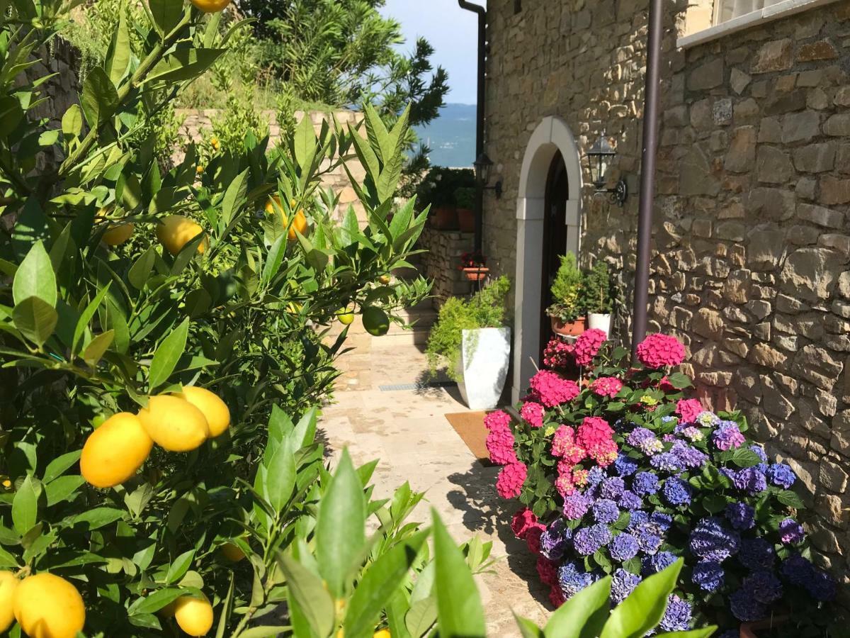Bed and Breakfast La Cascata Negli Ulivi Toscolano Maderno Zewnętrze zdjęcie